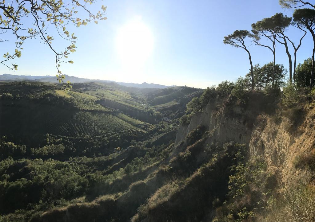 Agriturismo La Rinaldina Villa Faenza Buitenkant foto